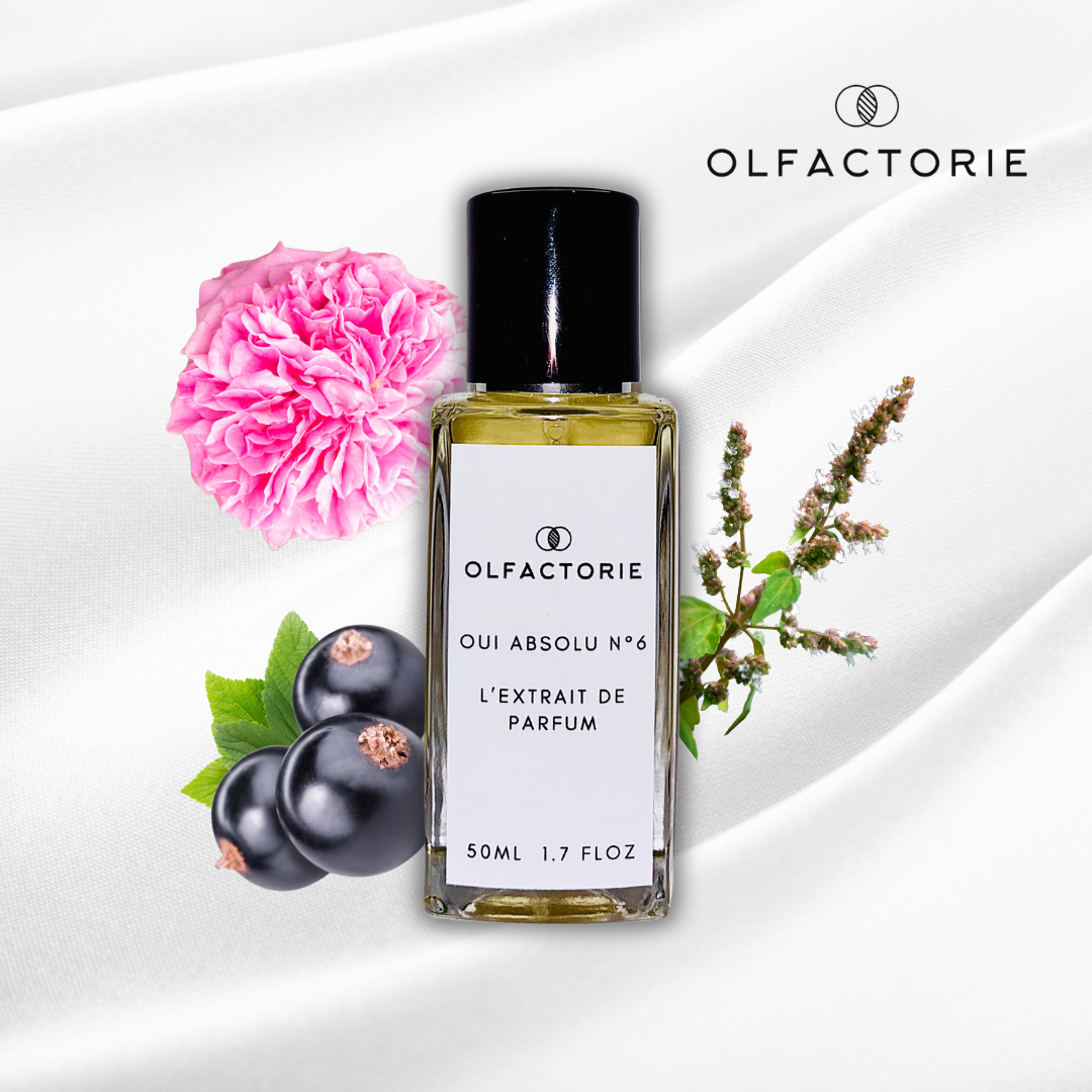 Oui Absolu N° 6 Inspiré de Si | Extrait de Parfum 50 ml